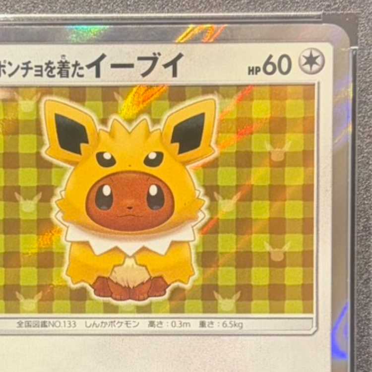 【PSA10】ポンチョを着たイーブイ PROMO 138/SM-P 1枚