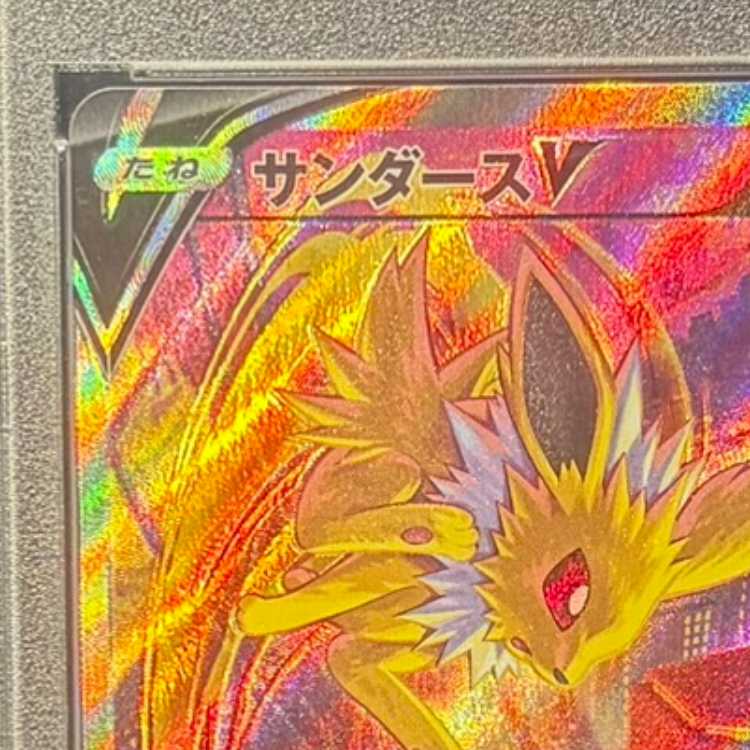 【PSA10】サンダースV SR 079/069 1枚