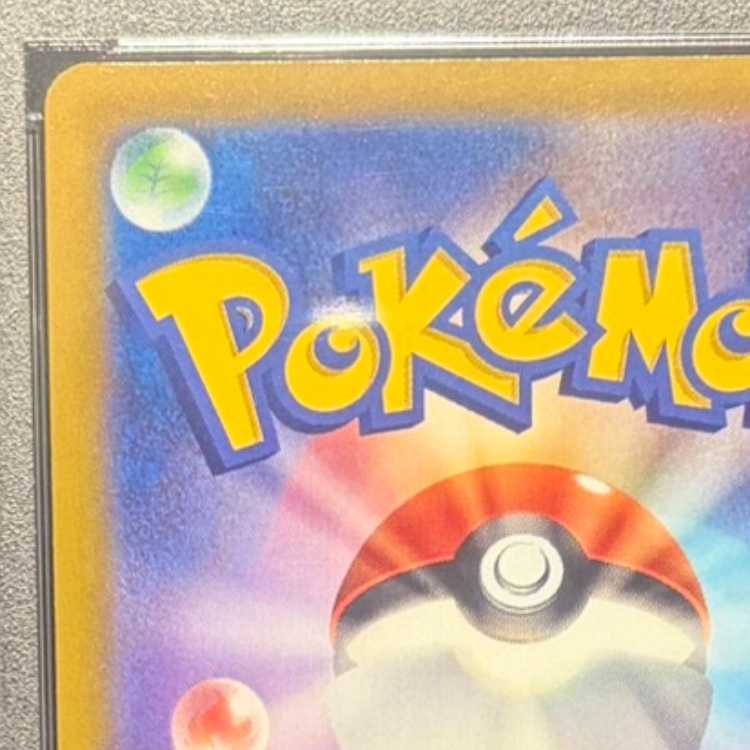 【PSA10】サンダースV SR 079/069 1枚