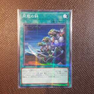 同胞の絆　ノーマルパラレル　ノーパラ