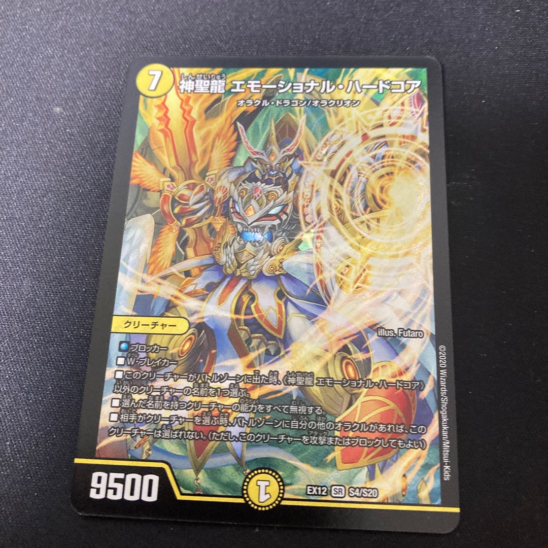 神聖龍 エモーショナル・ハードコア