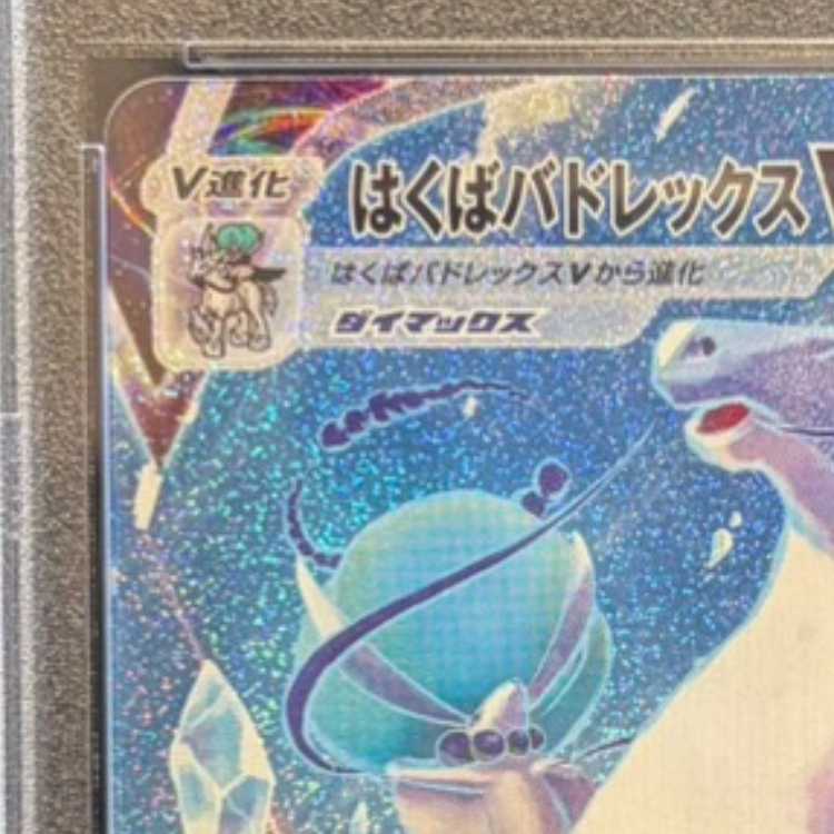 【PSA10】はくばバドレックスVMAX HR 084/070 1枚