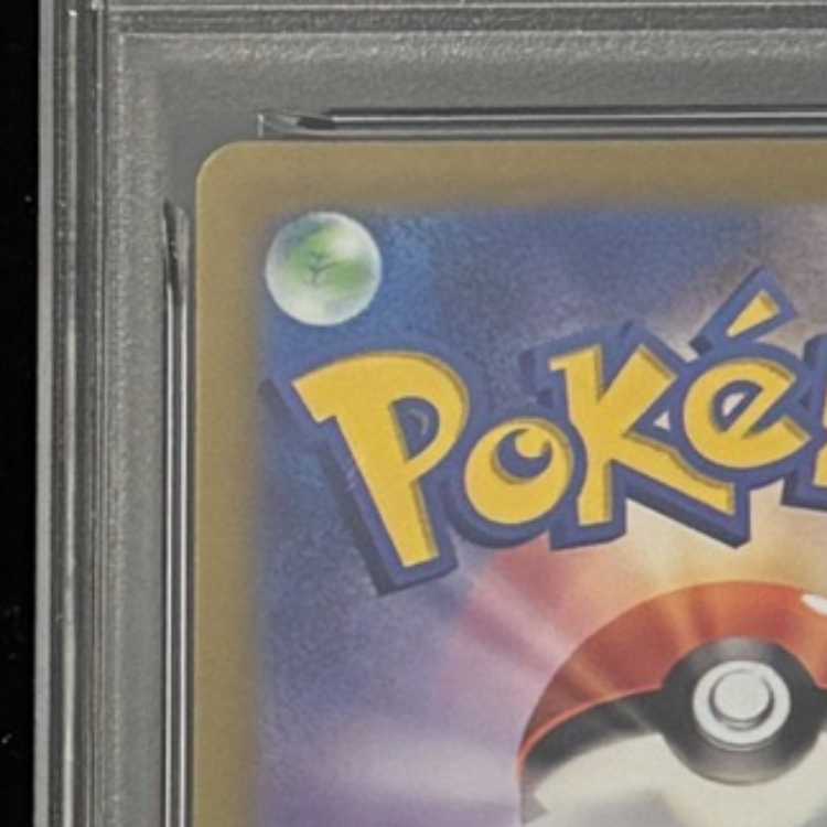 【PSA10】カミツレのきらめき SR 246/172 1枚