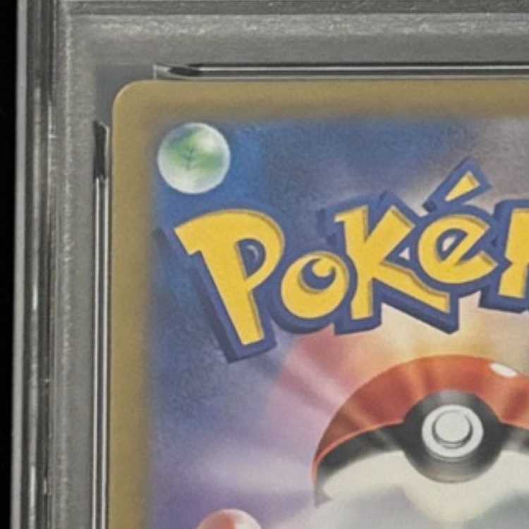 【PSA10】アセロラの予感 SR 255/184 1枚