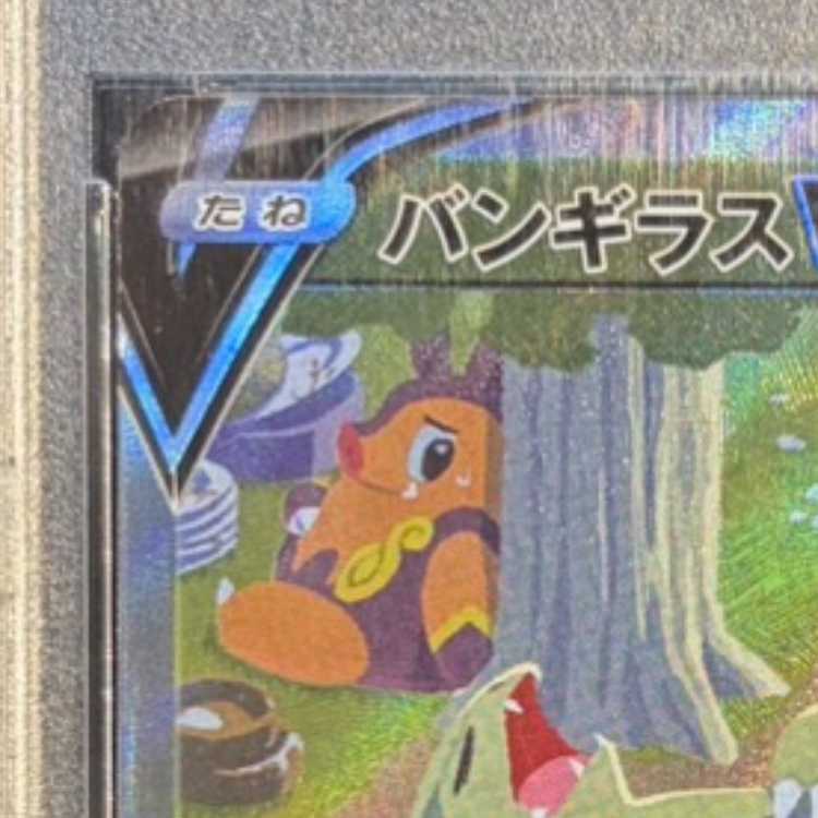 【PSA10】バンギラスV SR 077/070 1枚