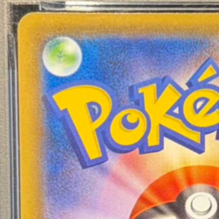 【PSA10】レックウザV SR 076/067 1枚