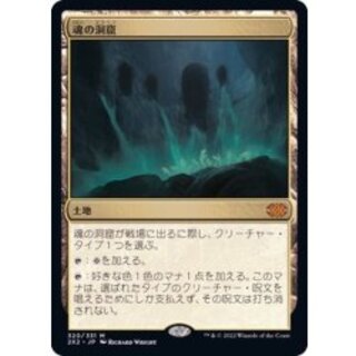 [EX+]魂の洞窟/Cavern of Souls《日本語》【2X2】 1