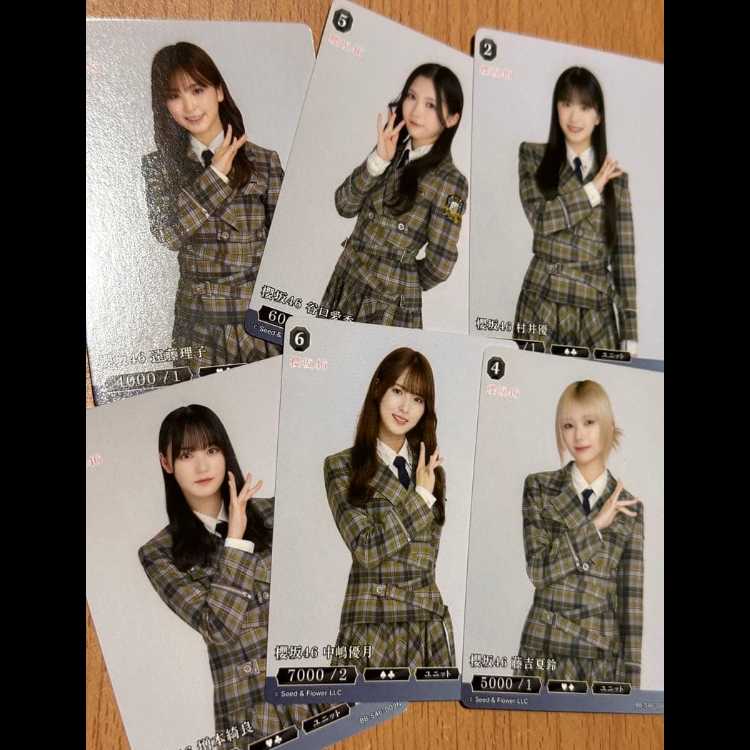 黒SR/R+/N+/R/N全種類 櫻坂46×ビルディバイドブライト 30枚