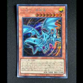 ＃心宿りし青眼竜 シークレットレア ROTA-JP004 1枚