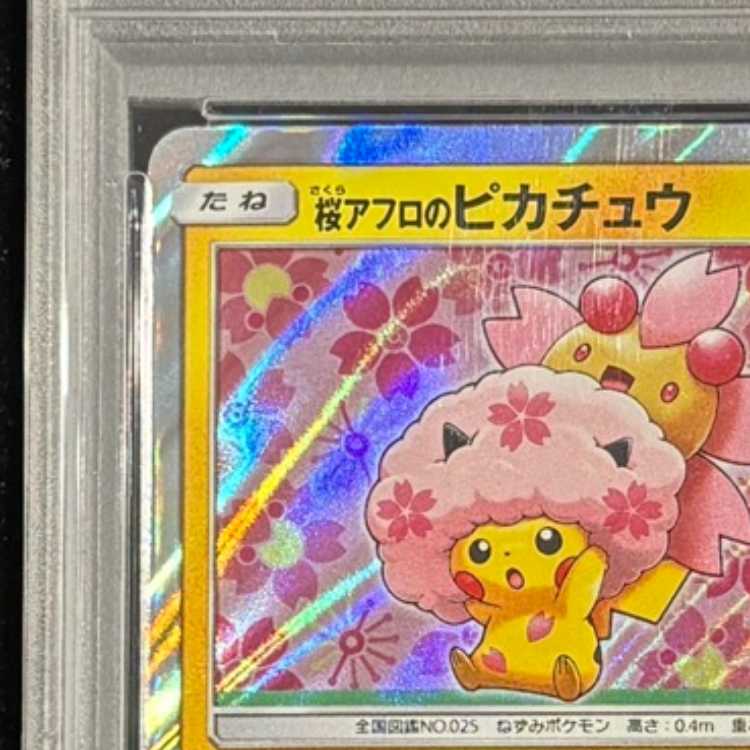【PSA10】桜アフロのピカチュウ PROMO 211/SM-P 1枚