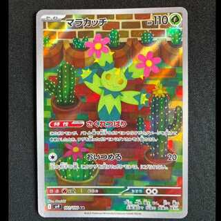 ＃マラカッチ AR 101/100 1枚