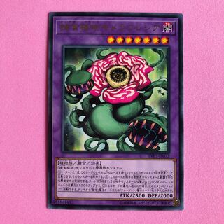 遊戯王 捕食植物キメラフレシア 1枚 字レア