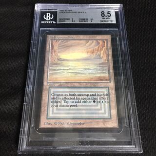 Underground Sea α BGS8.5 1枚