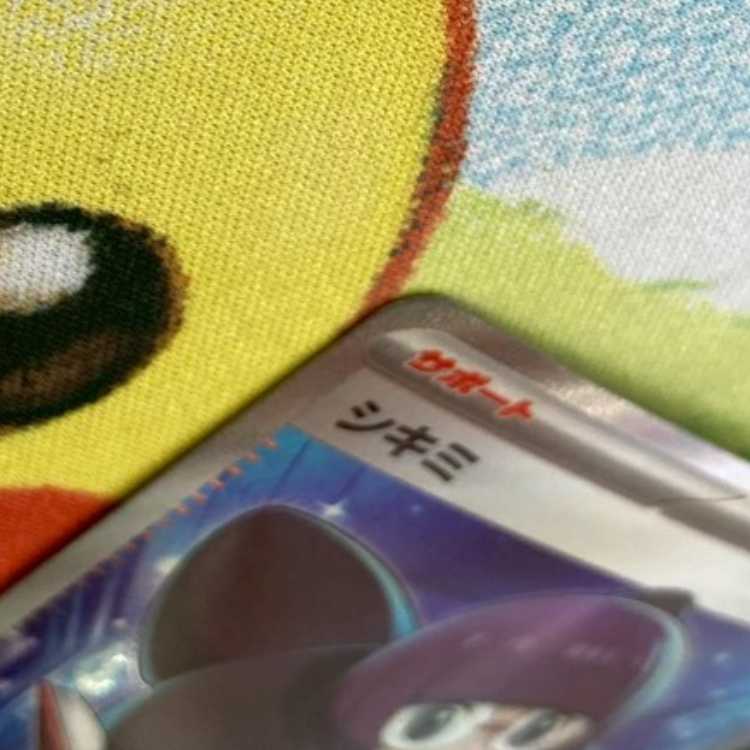 S134 シキミ SR 082/062 1枚