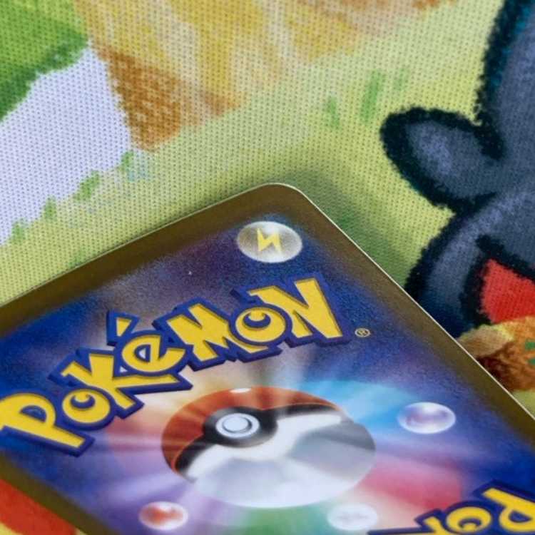 S134 シキミ SR 082/062 1枚