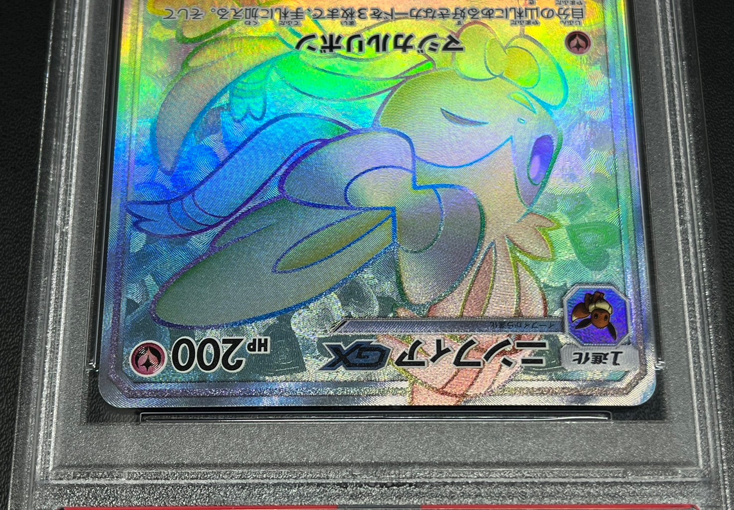 〔PSA10鑑定済〕ニンフィアGX【HR】{064/051} 1枚