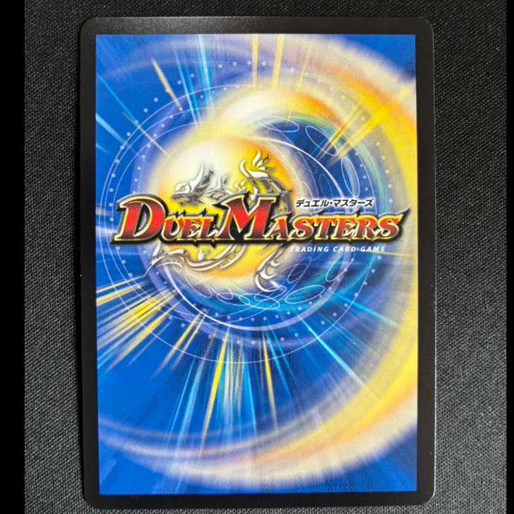 ＃一王二命三眼槍 SR S9/S15 1枚