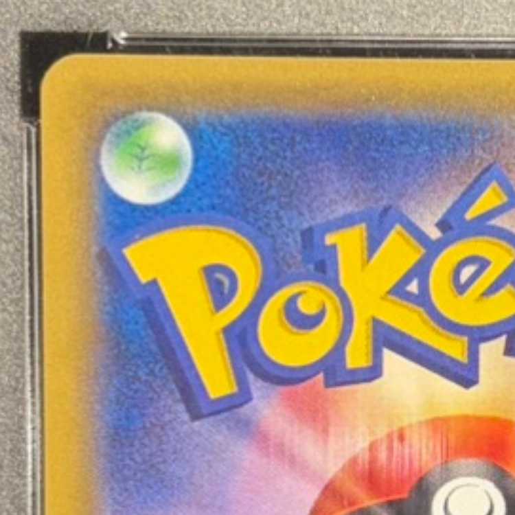 【PSA10】ナタネ SR 070/066 1枚