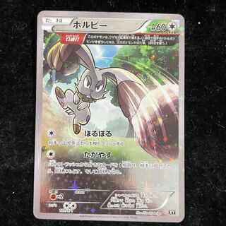 ホルビー ミラー (-) {107/171} [XY] 1枚