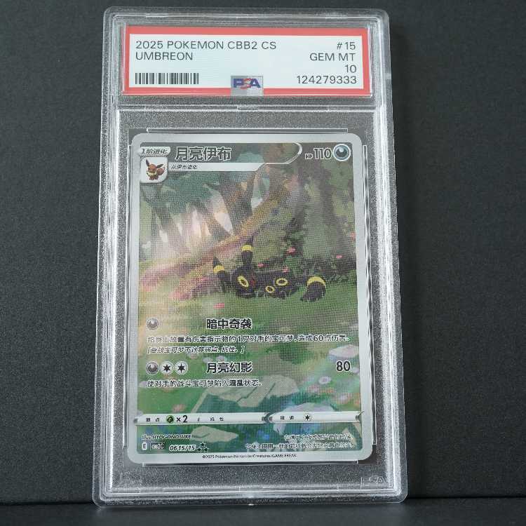 【PSA10】ブラッキー AR 宝石包 Vol.2 中国語簡体字版 海外限定イラスト 1枚