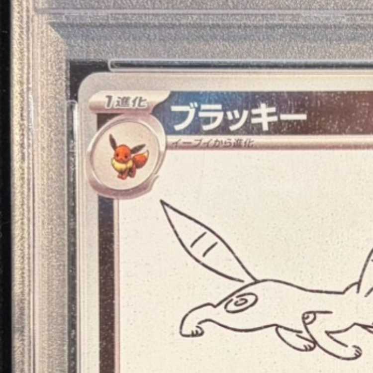 【PSA10】ブラッキー YU NAGABA プロモ 開封済み PROMO 067/SV-P 1枚