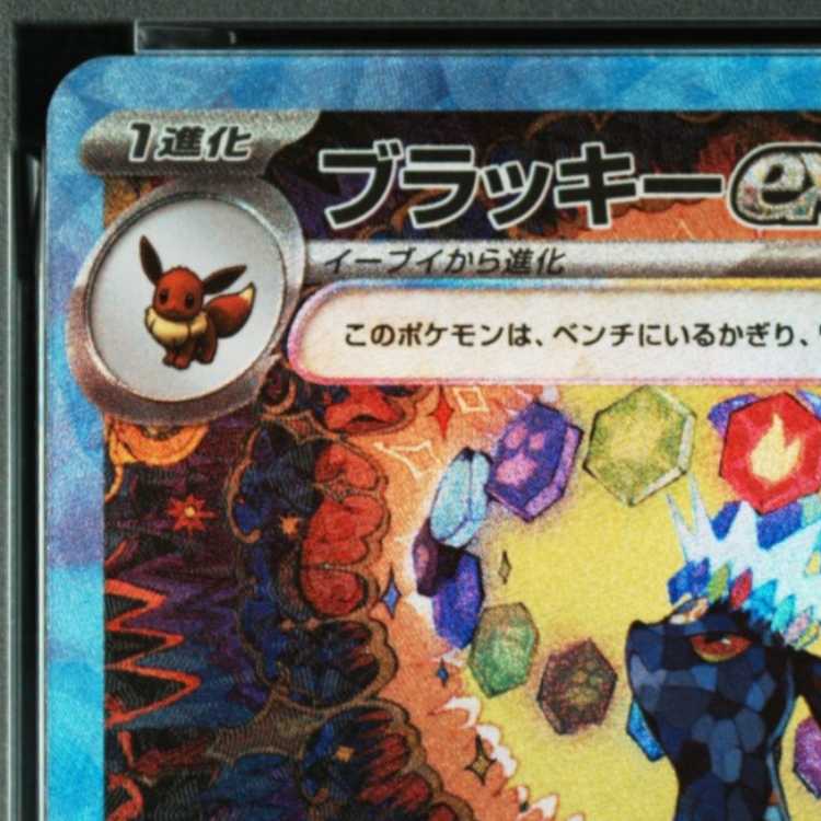 【PSA10】ブラッキーex SAR 217/187 1枚