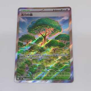 活力の森 SR 109/080 1枚