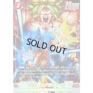 孫悟空：BR/ベジータ：BR(パラレル)【SR☆】{FB09-011} 1