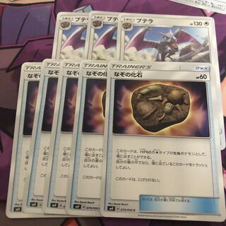 化石セット プテラ