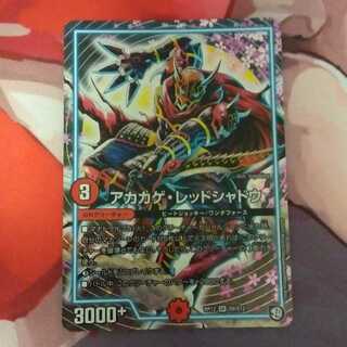 アカカゲ・レッドシャドウ