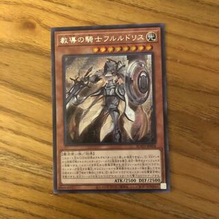 教導の騎士フルルドリス　シク　傷あり