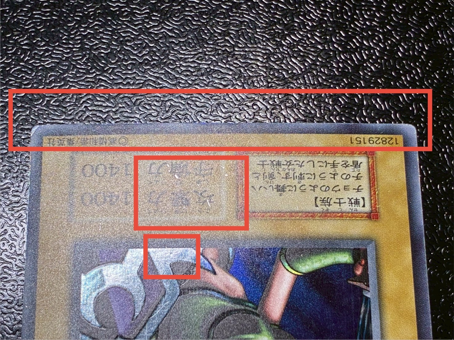 〔状態C〕女剣士カナン(初期)【ウルトラ】{-}《モンスター》 1枚