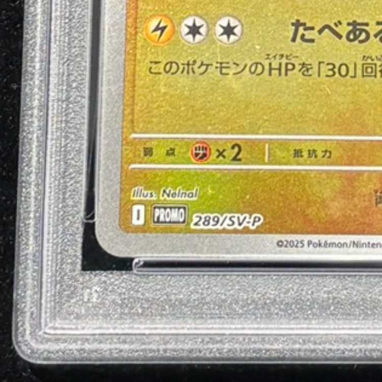 【PSA10】フクオカのピカチュウ PROMO 289/SV-P 1枚