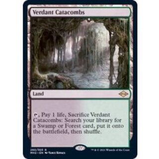 新緑の地下墓地/Verdant Catacombs《英語》【MH2】 1枚