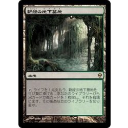 [EX+]新緑の地下墓地/Verdant Catacombs《日本語》【ZEN】 1枚