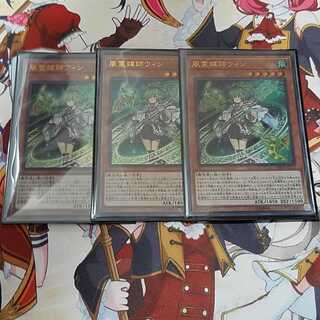 風霊媒師ウィン