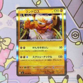 ランドロス R 040/080 1枚