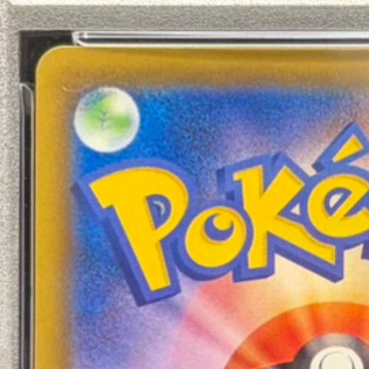 【PSA10】ピカチュウV 25th ANNIVERSARY 開封済み PROMO 001/015 1枚