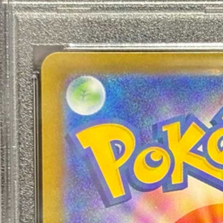 【PSA10】オドリドリex SAR 111/080 1枚