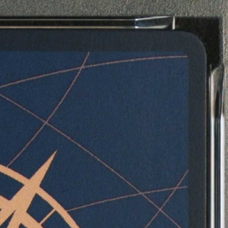 【PSA10】 モンキー・D・ルフィ 《英語版》 (COLLEGE BASKETBALL US VOYAGE) [P] {P-055} 1枚