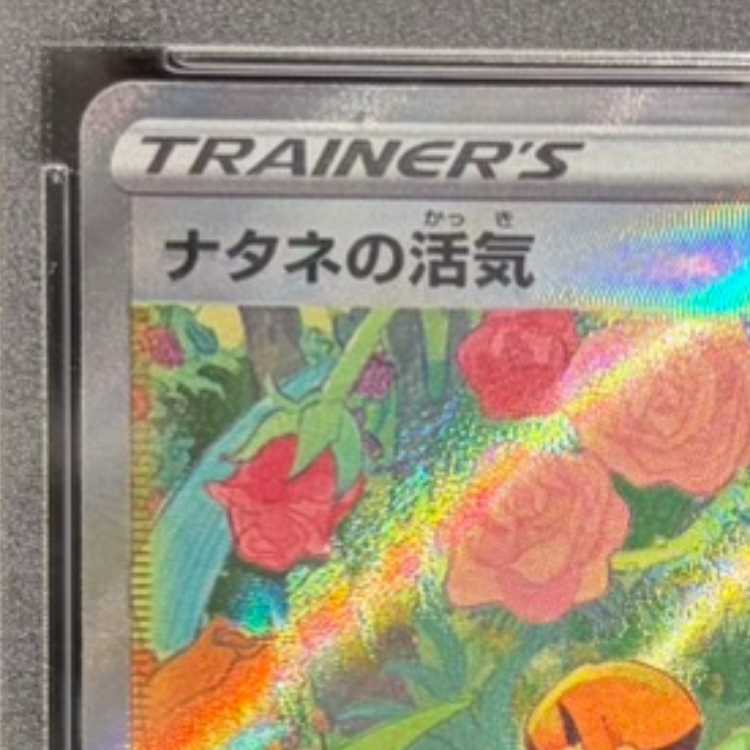 【PSA10】ナタネの活気 SAR 243/172 1枚