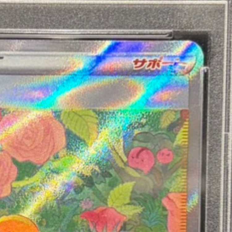 【PSA10】ナタネの活気 SAR 243/172 1枚