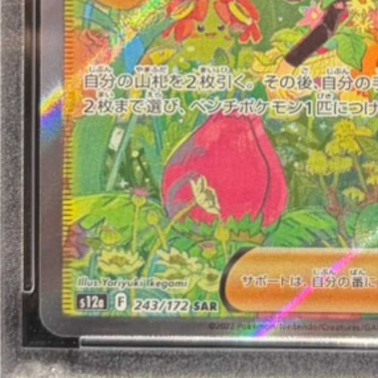 【PSA10】ナタネの活気 SAR 243/172 1枚