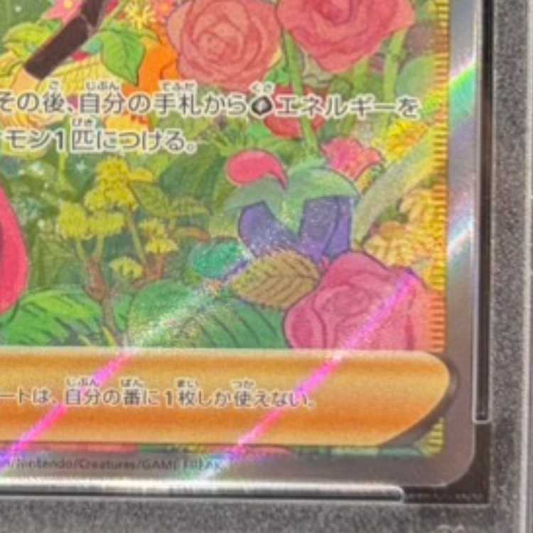 【PSA10】ナタネの活気 SAR 243/172 1枚