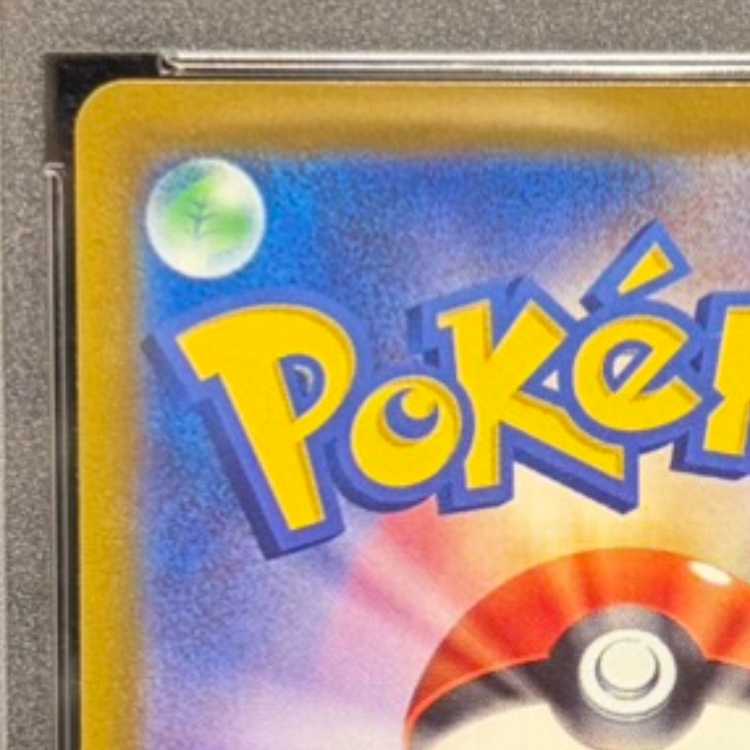 【PSA10】ナタネの活気 SAR 243/172 1枚