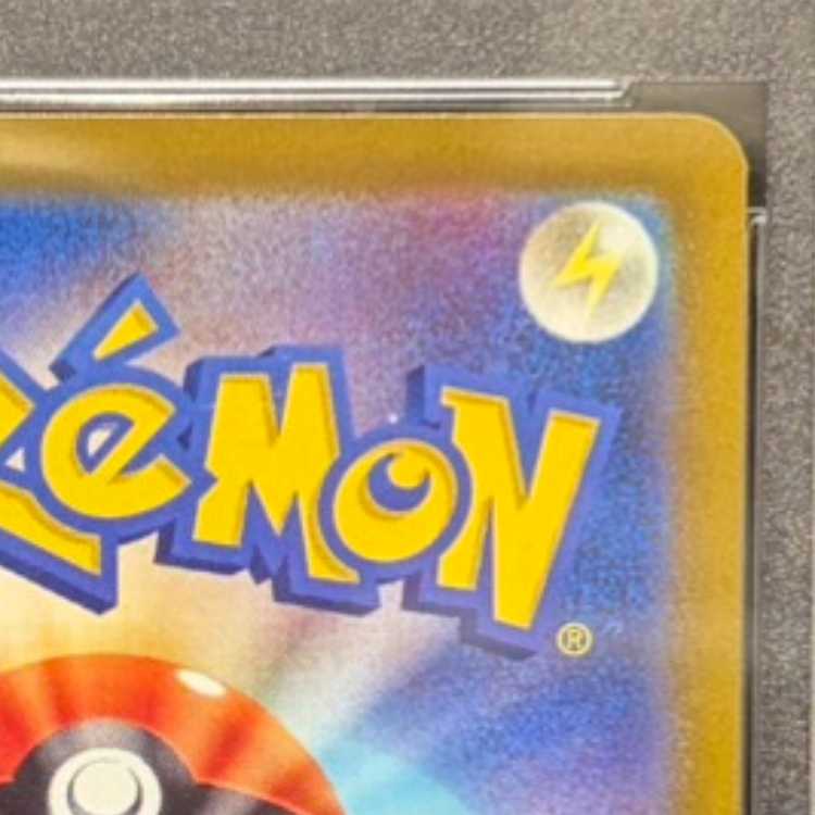 【PSA10】ナタネの活気 SAR 243/172 1枚