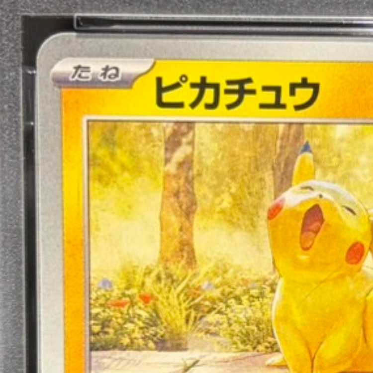 【PSA10】ピカチュウ 《ILLUSTRATION CONTEST 2024》 PROMO 242/SV-P 1枚