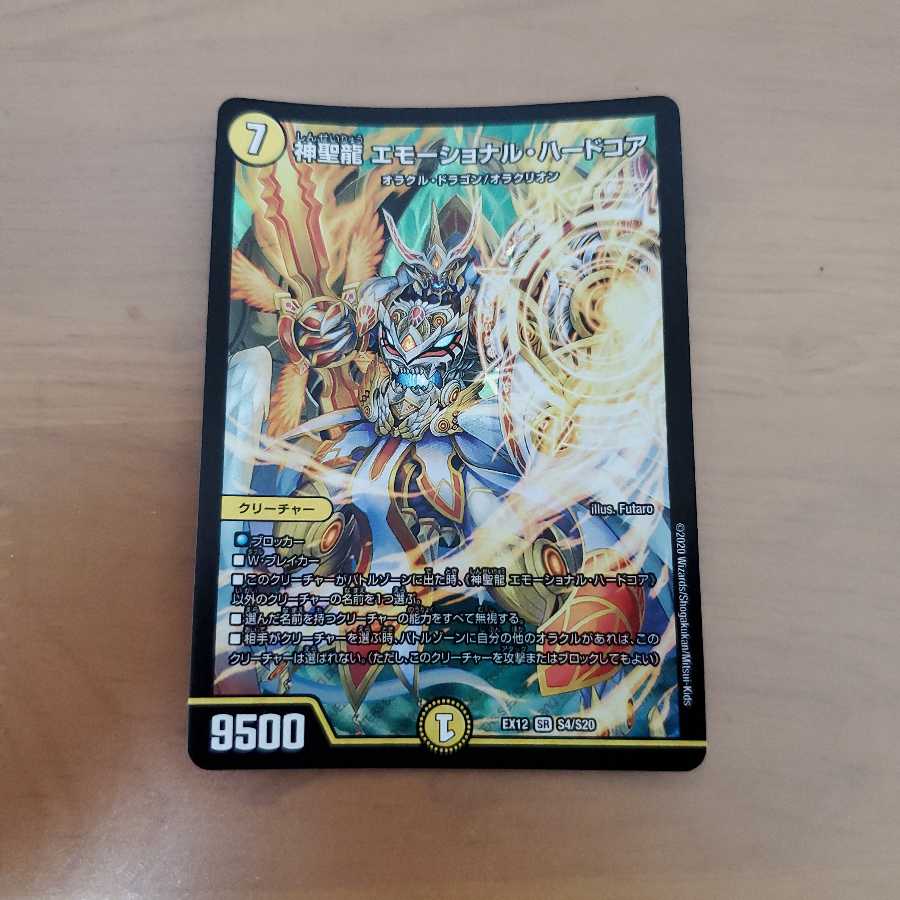 神聖龍 エモーショナル・ハードコア