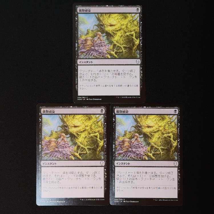 菌類感染 コモン 94/269 3枚