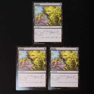 菌類感染 コモン 94/269 3枚